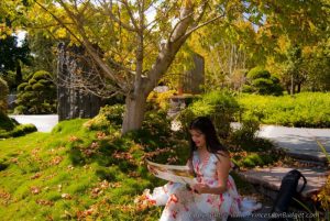 Read more about the article Hunter Valley Gardens – Top Attractions