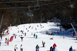 Thredbo Snowfields