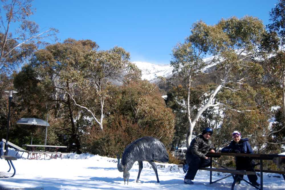 snowy mountain tour from canberra