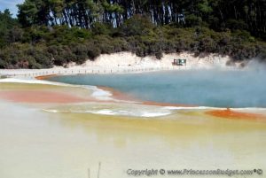 Te Puia Thermal Reserve